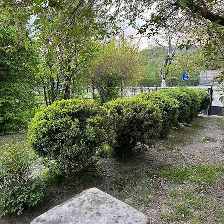 Casa Eroilor Villa Árgyasudvarhely Kültér fotó