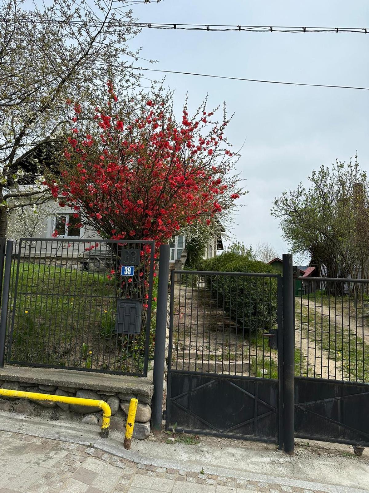 Casa Eroilor Villa Árgyasudvarhely Kültér fotó