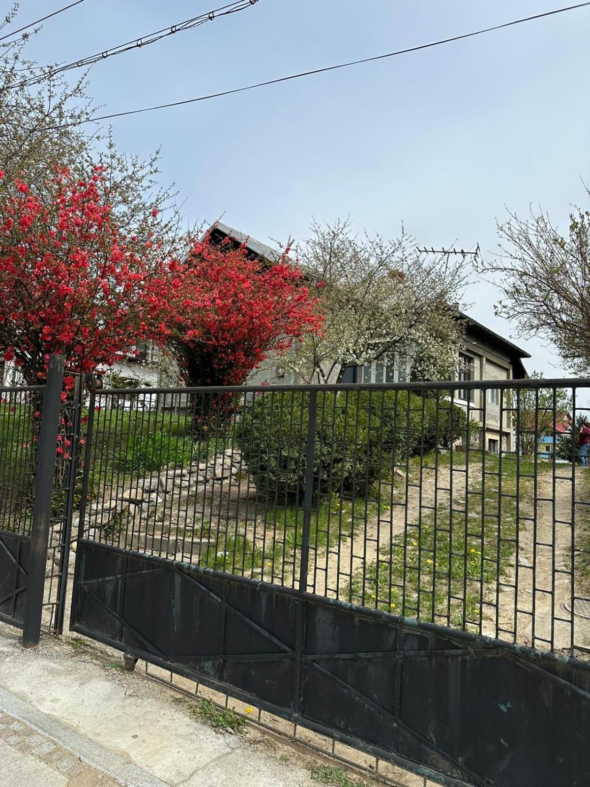 Casa Eroilor Villa Árgyasudvarhely Kültér fotó